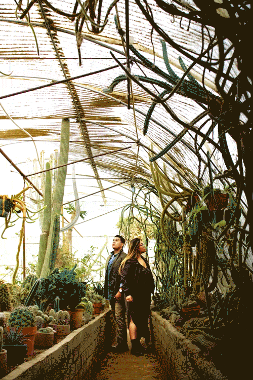 Cactarium — greenhouse couple